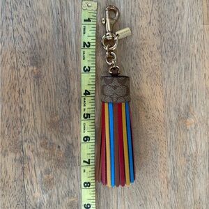 ❤️🤎💛Coach Multicolor Large Leather Tassel Keychain